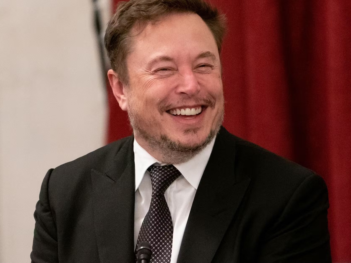elon musk dickipedia