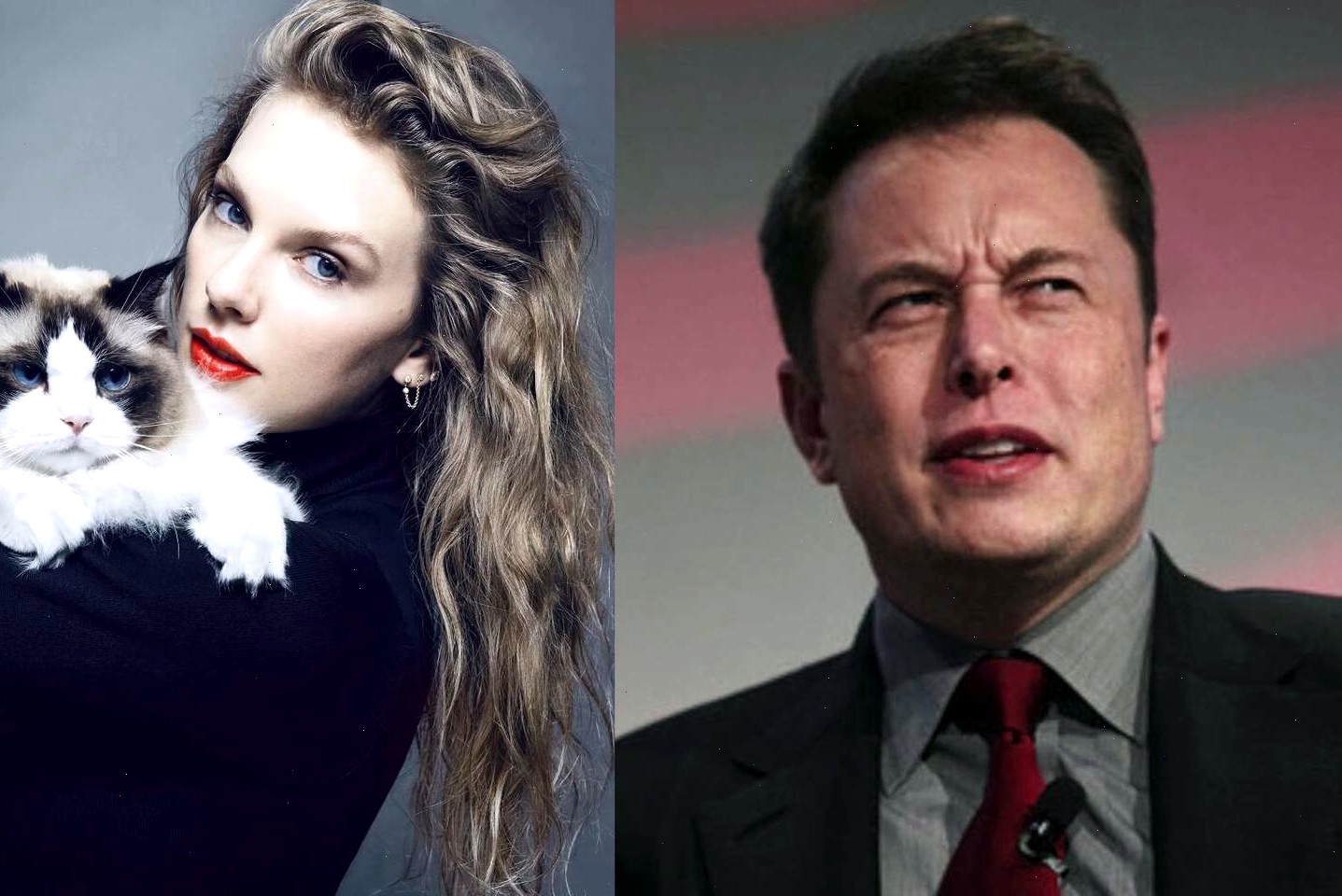 elon_musk_taylor_swift_tweet