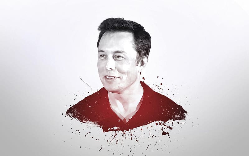 Elon Musk say